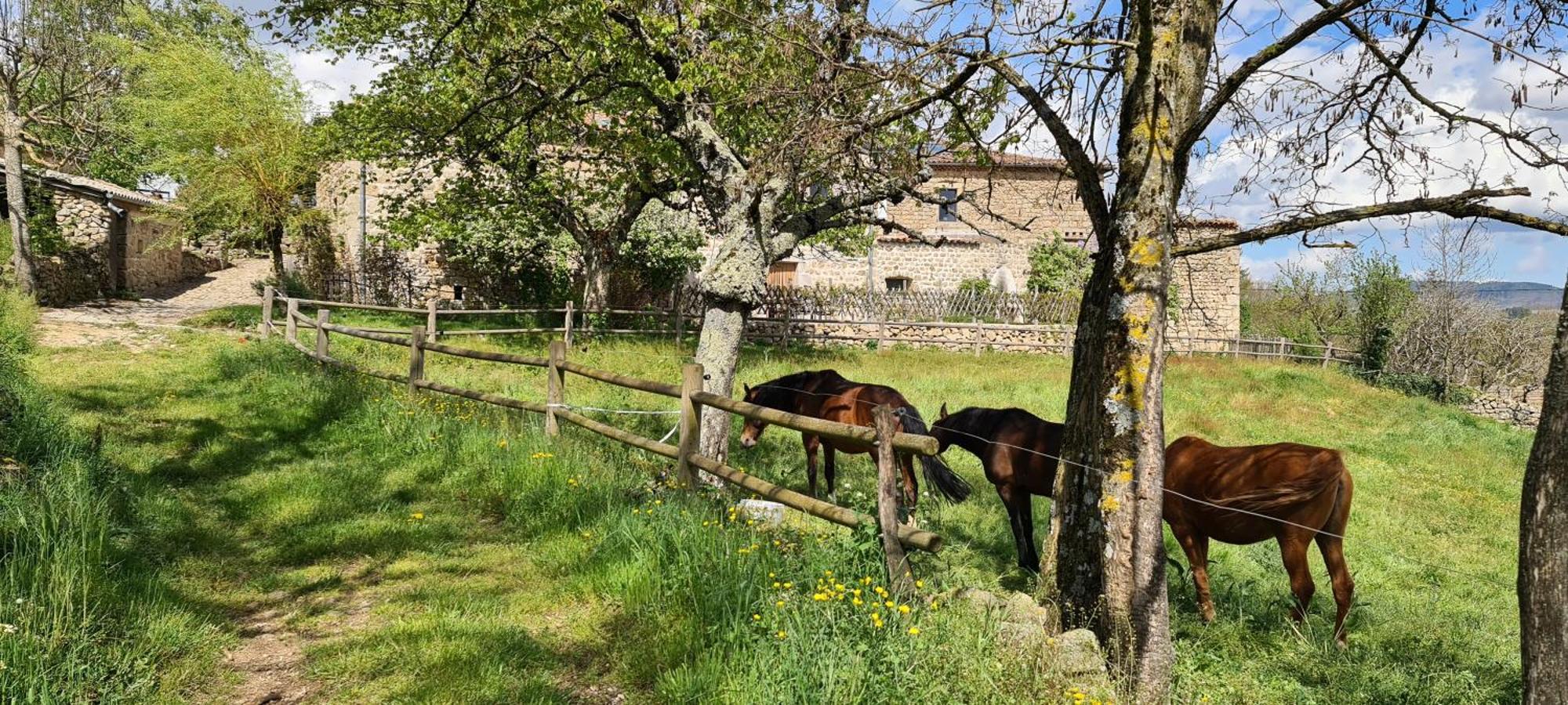 Gites Domaine De Silhac Ardeche 外观 照片
