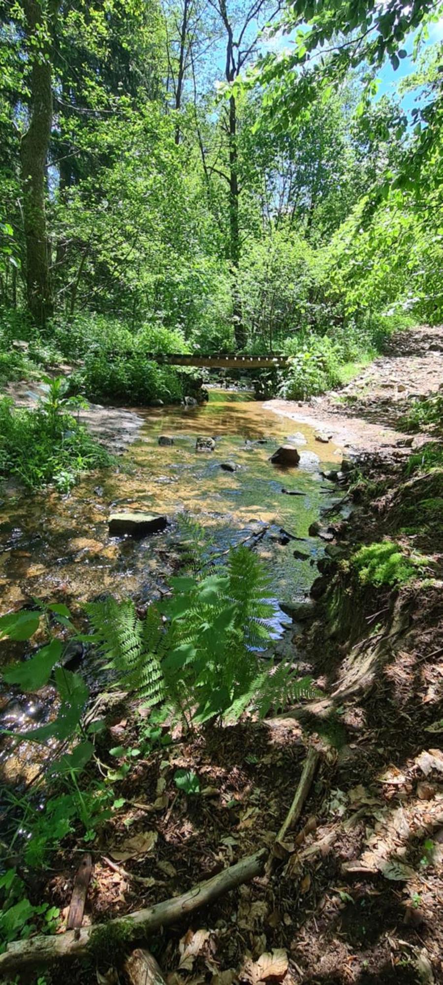 Gites Domaine De Silhac Ardeche 外观 照片